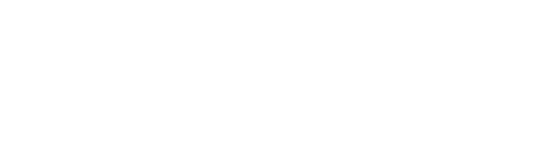 Bidley.ai